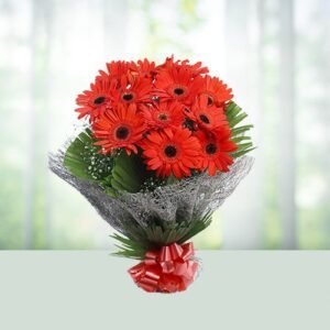 15 Red Gerbera Hand Bouquet