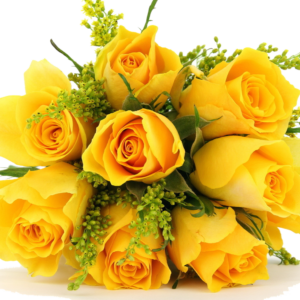 bunch of 6 Yellow Roses