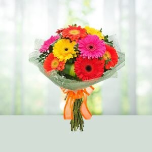 Mix Colour Gerbera Bouquet