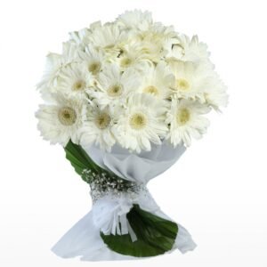 Elegent whte Gerbera Bouquet